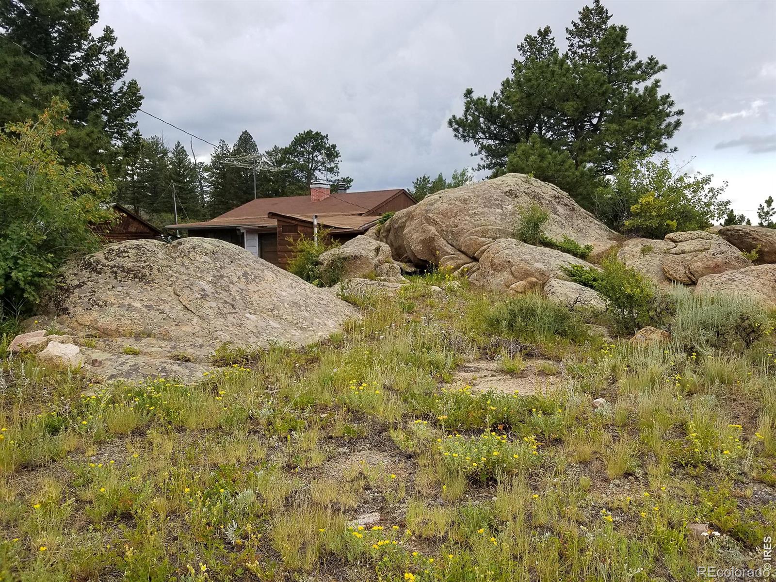 983 Ramona Drive Red Feather Lakes CO 80545