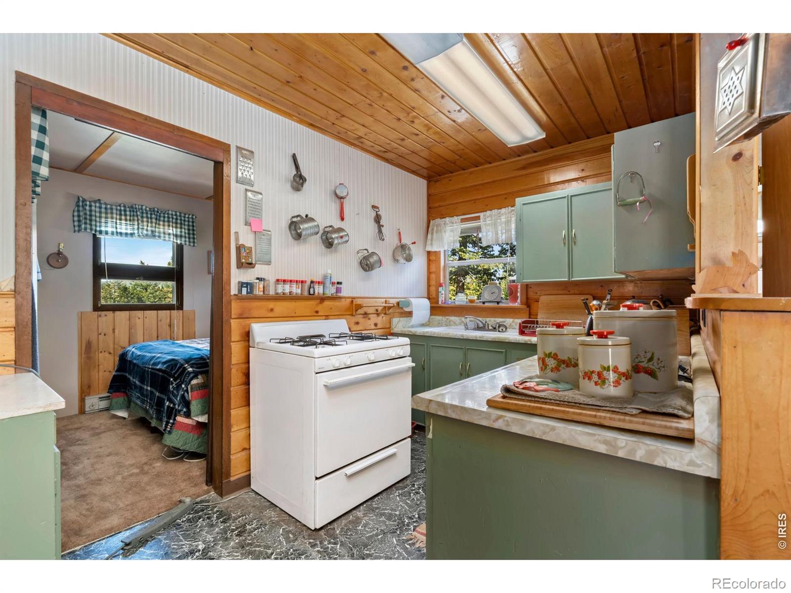 983 Ramona Drive Red Feather Lakes CO 80545