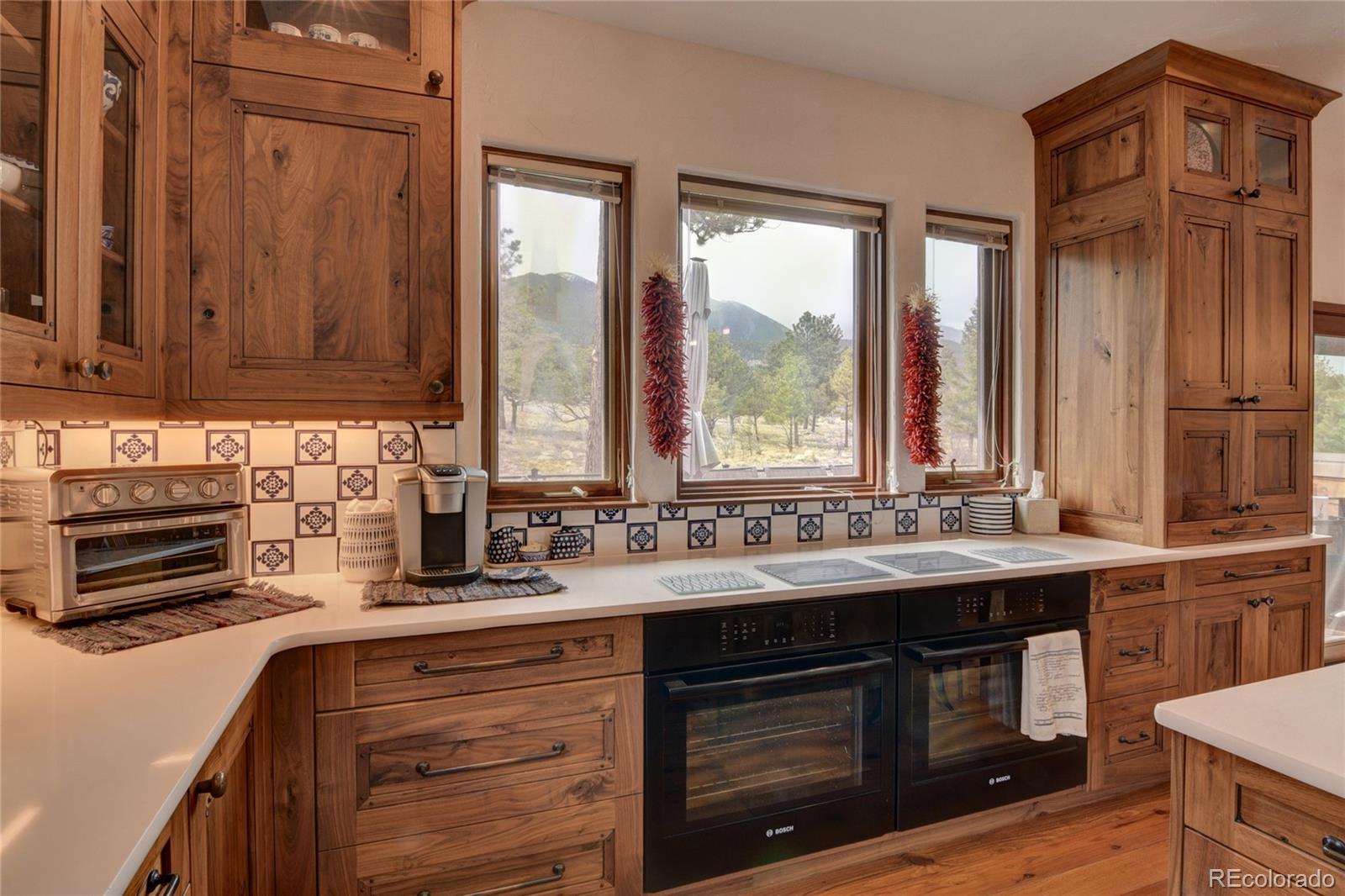30481 National Forest Drive Buena Vista CO 81211