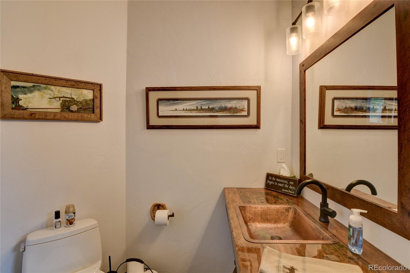 30481 National Forest Drive Buena Vista CO 81211