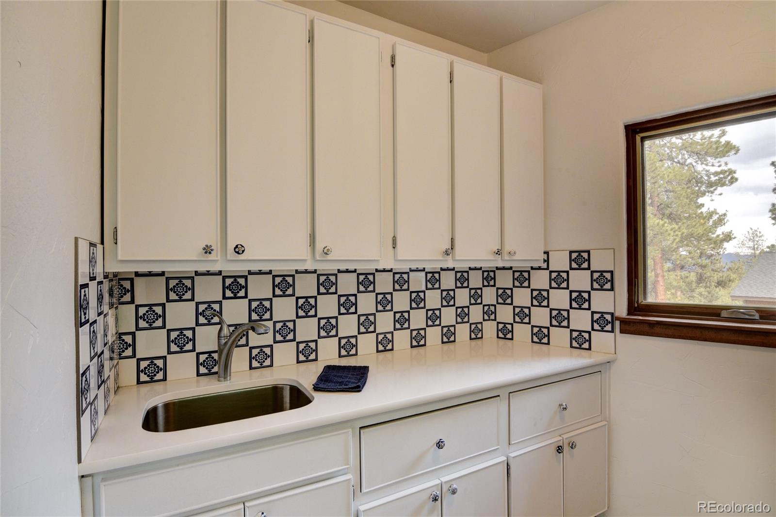 30481 National Forest Drive Buena Vista CO 81211