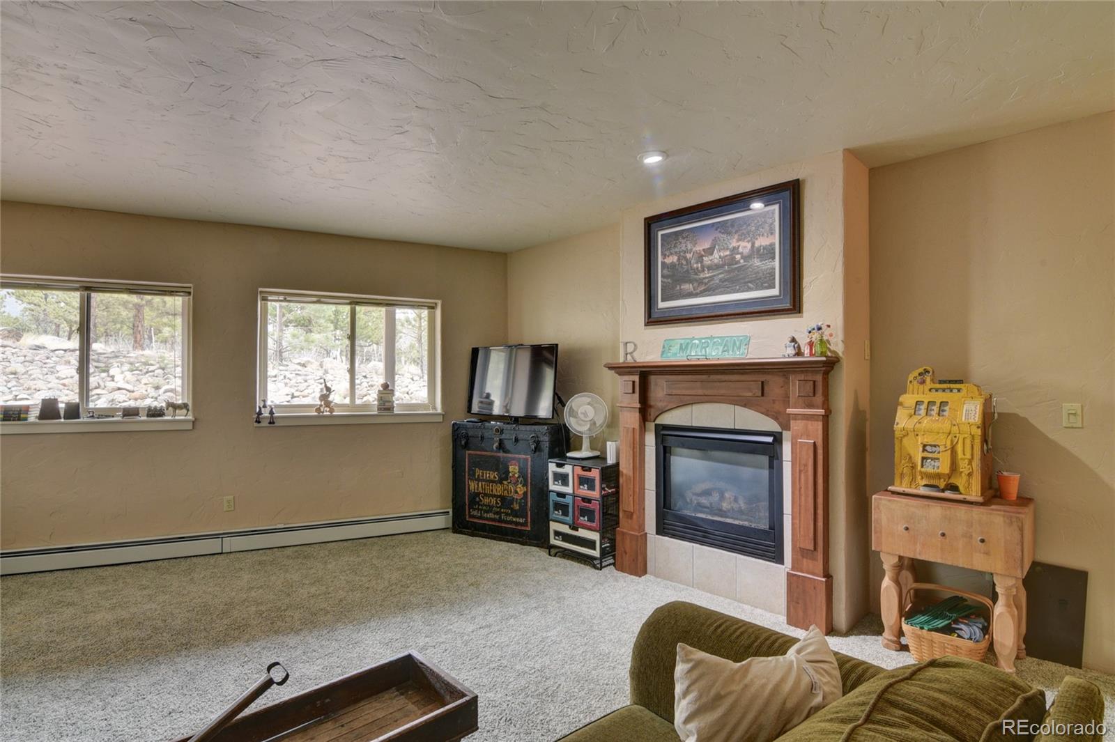 30481 National Forest Drive Buena Vista CO 81211