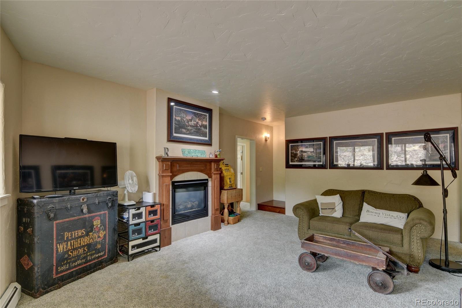30481 National Forest Drive Buena Vista CO 81211