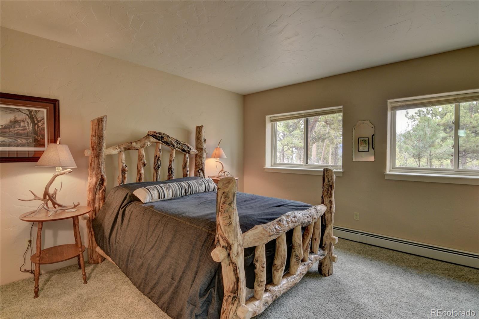 30481 National Forest Drive Buena Vista CO 81211