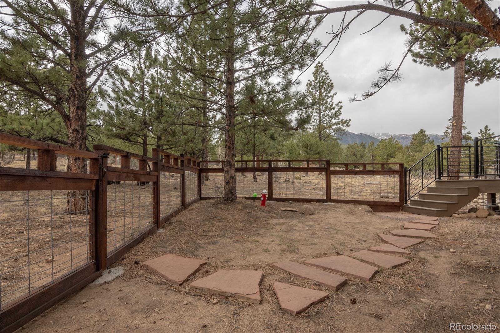 30481 National Forest Drive Buena Vista CO 81211