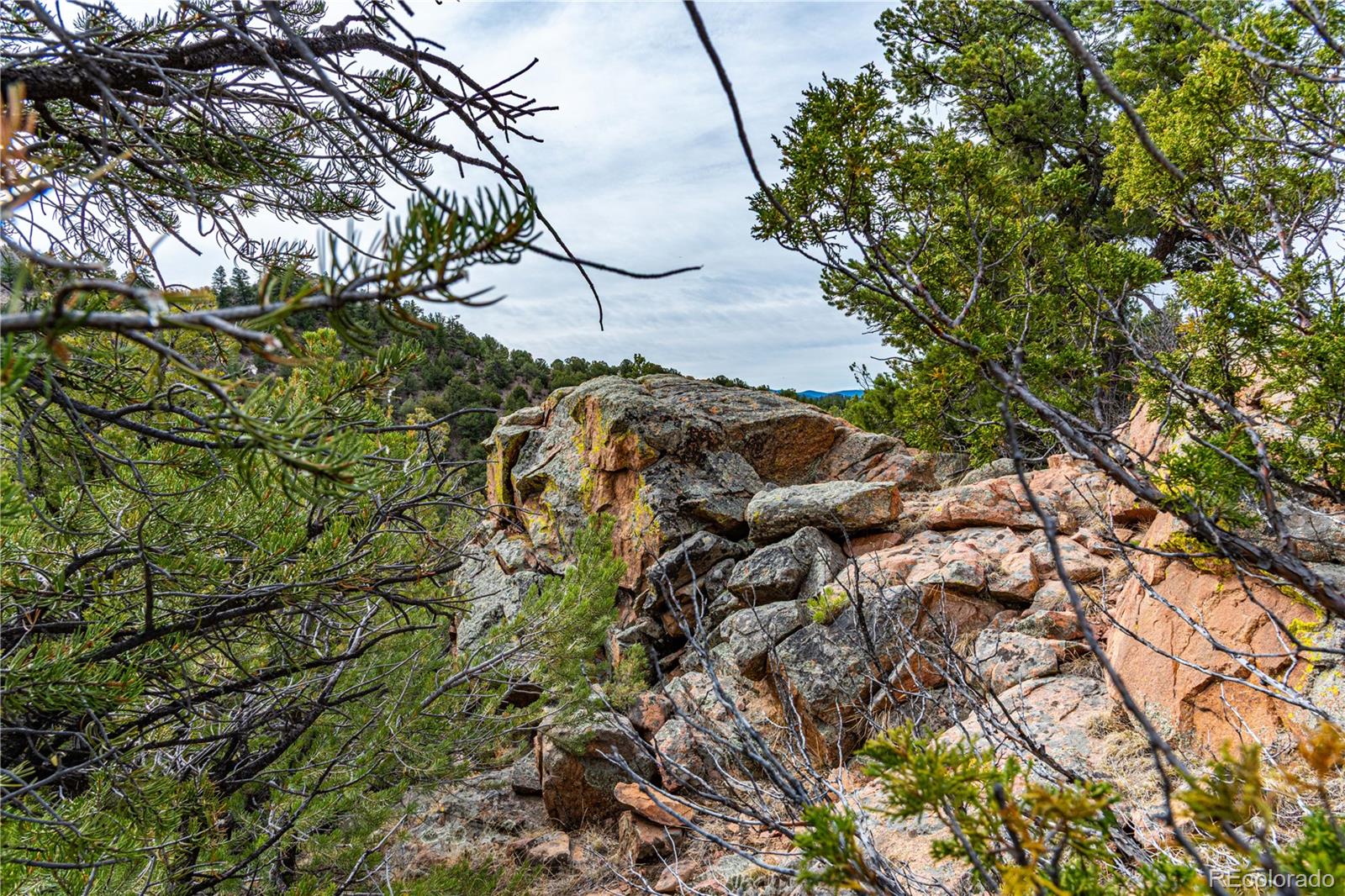 16174 County Road 143 Canon City CO 81212