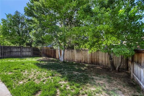 654 Foxtail Way Windsor CO 80550