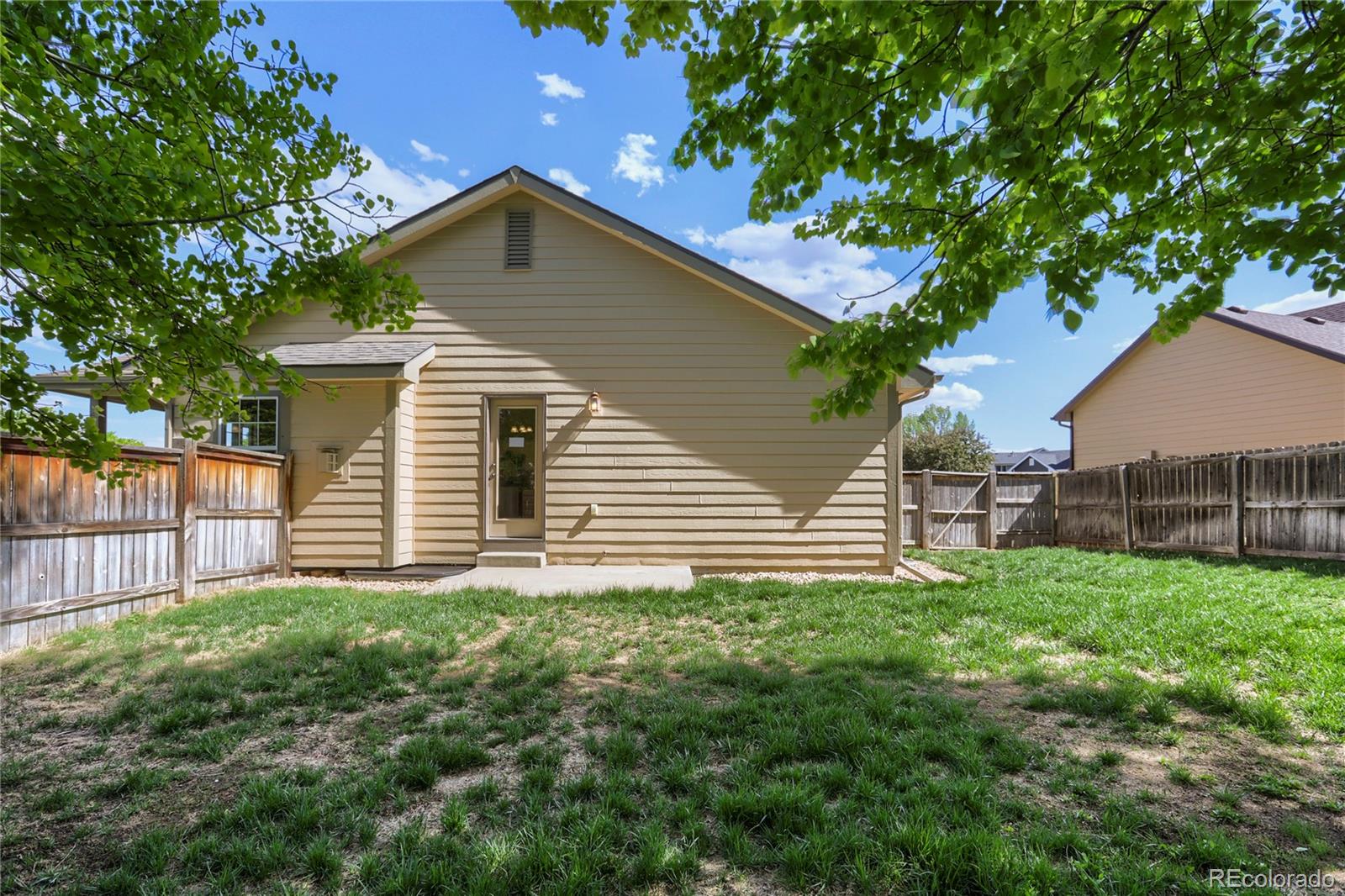 654 Foxtail Way Windsor CO 80550