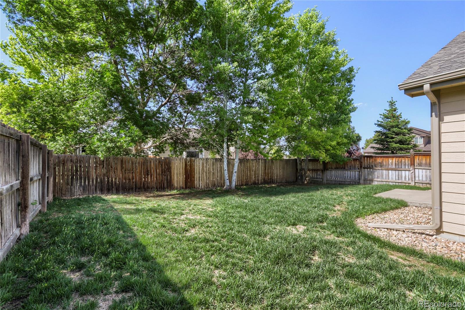 654 Foxtail Way Windsor CO 80550