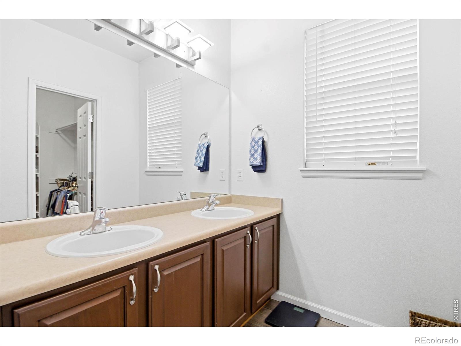 6262 Sea Gull Circle Loveland CO 80538