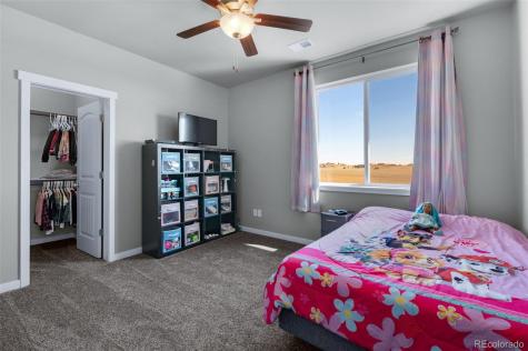 9755 Owl Perch Loop Colorado Springs CO 80908