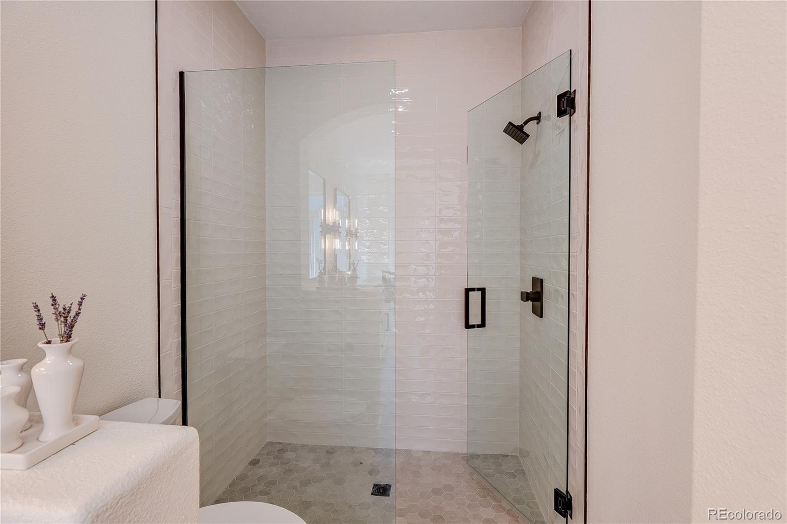 2137 Brierly Court Castle Rock CO 80104