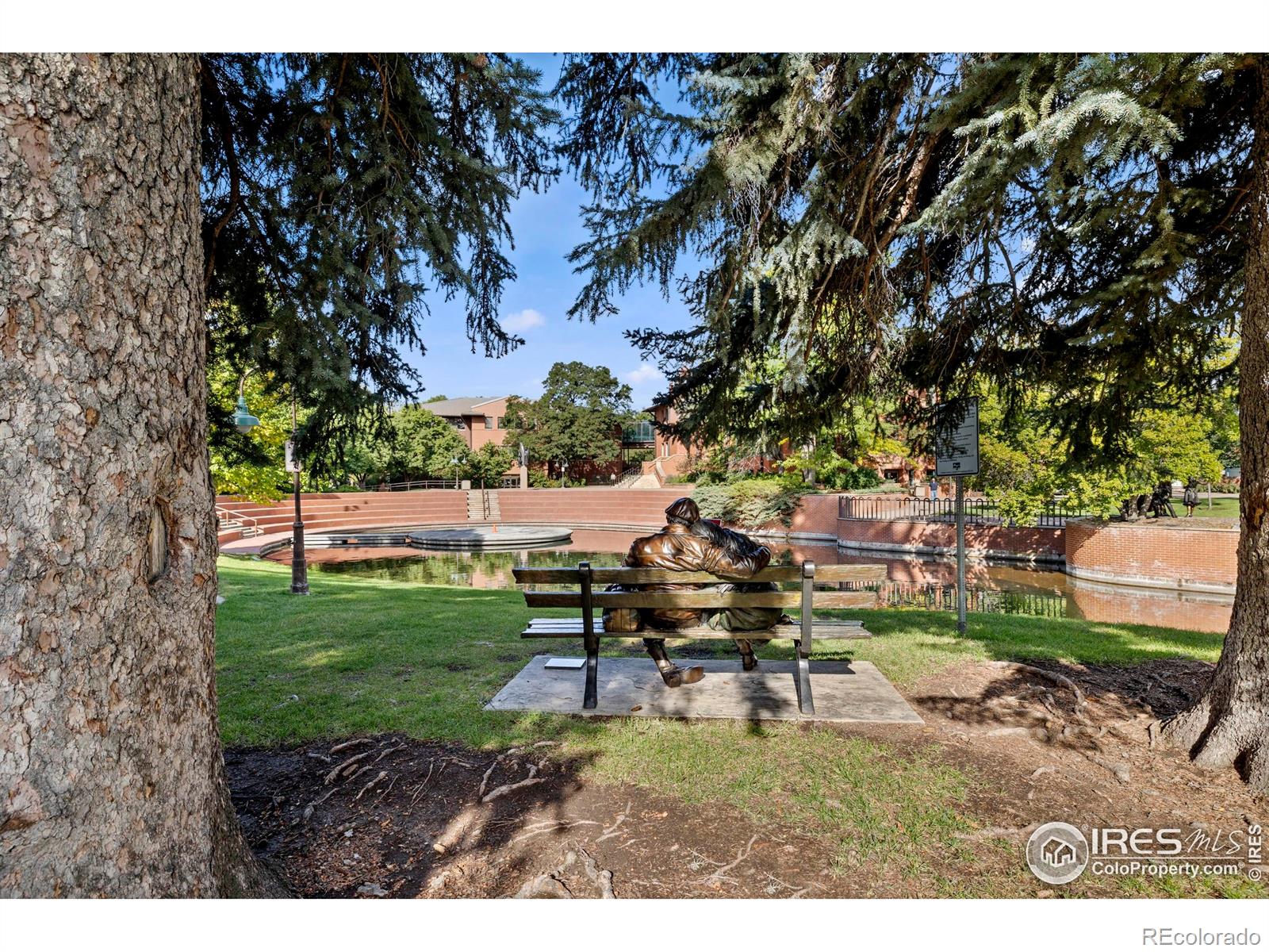 1013 E 3rd Street Loveland CO 80537