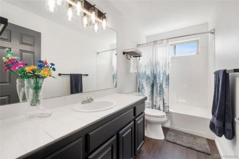 508 Winterthur Way Highlands Ranch CO 80129