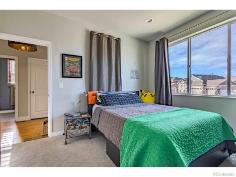 825 Shirttail Peak Drive Windsor CO 80550