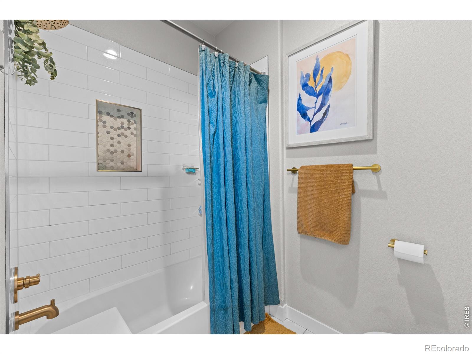 825 Shirttail Peak Drive Windsor CO 80550