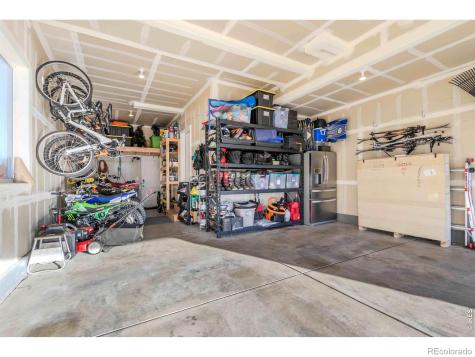 825 Shirttail Peak Drive Windsor CO 80550