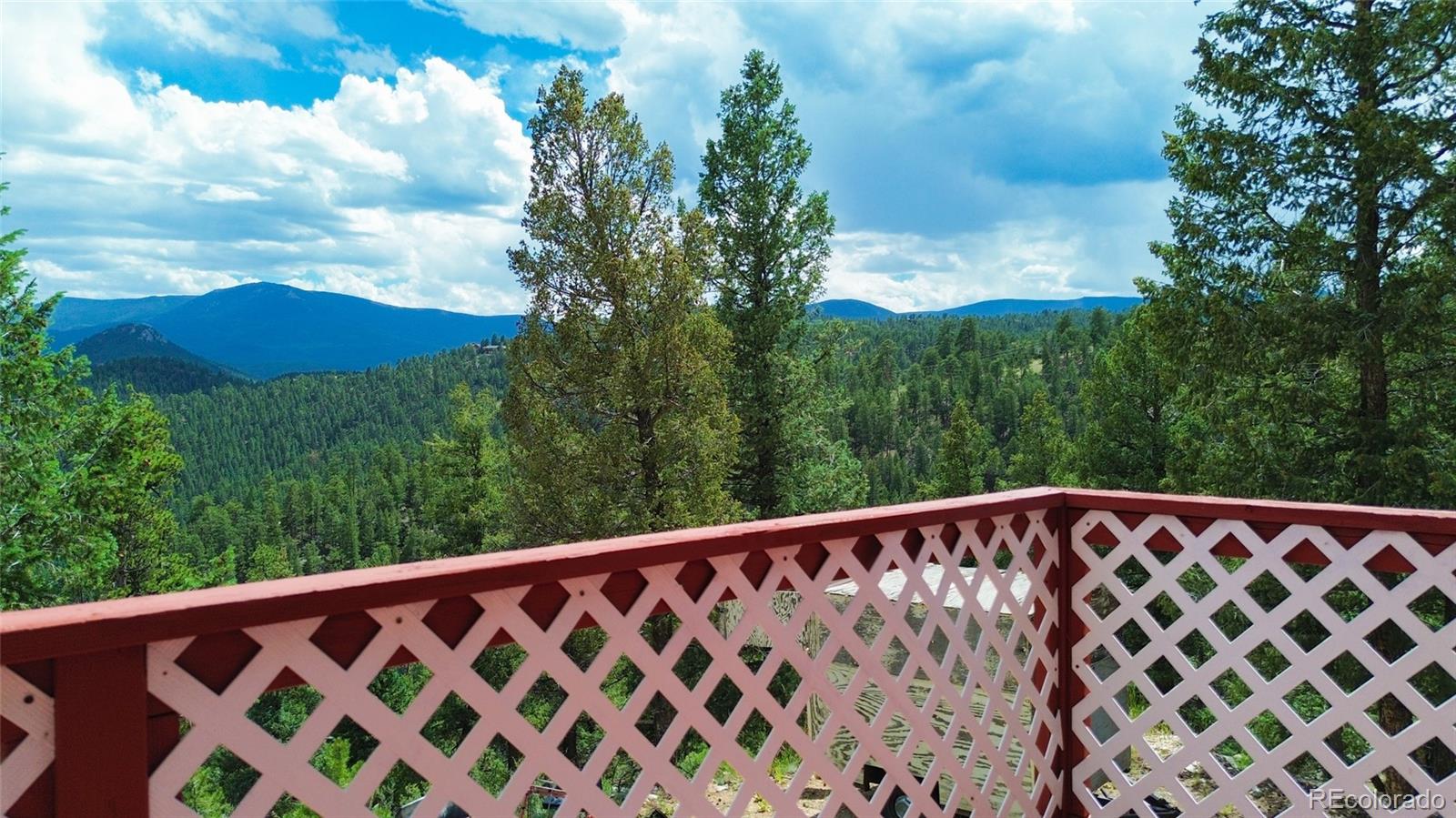 64 Zip Lane Bailey CO 80421