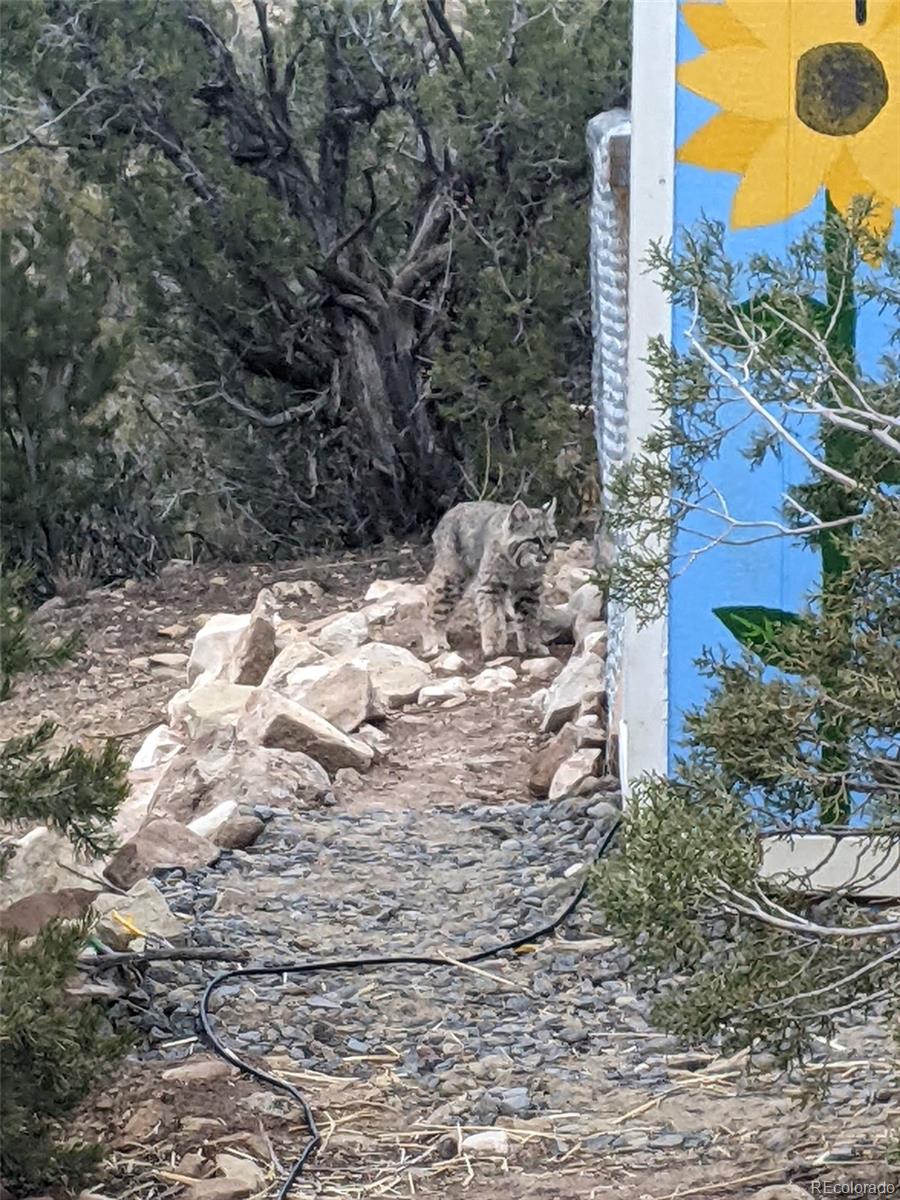 15086 45 1/2 Road De Beque CO 81643