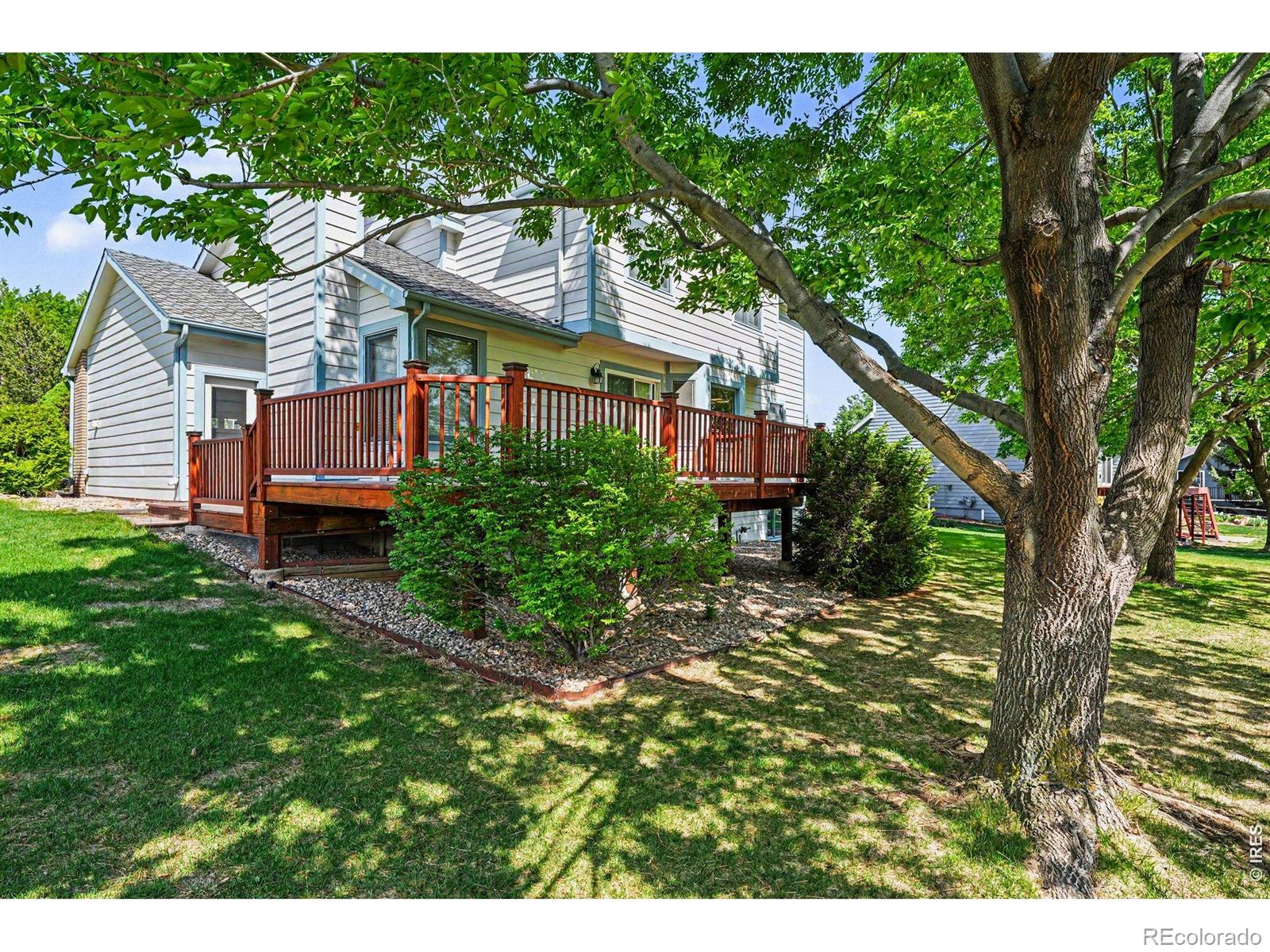 4209 Wellington Drive Fort Collins CO 80526