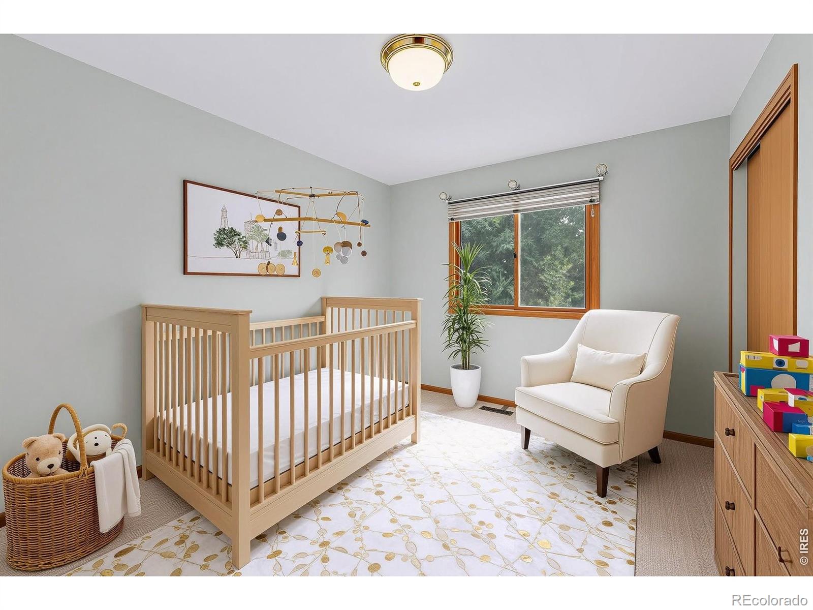 4209 Wellington Drive Fort Collins CO 80526
