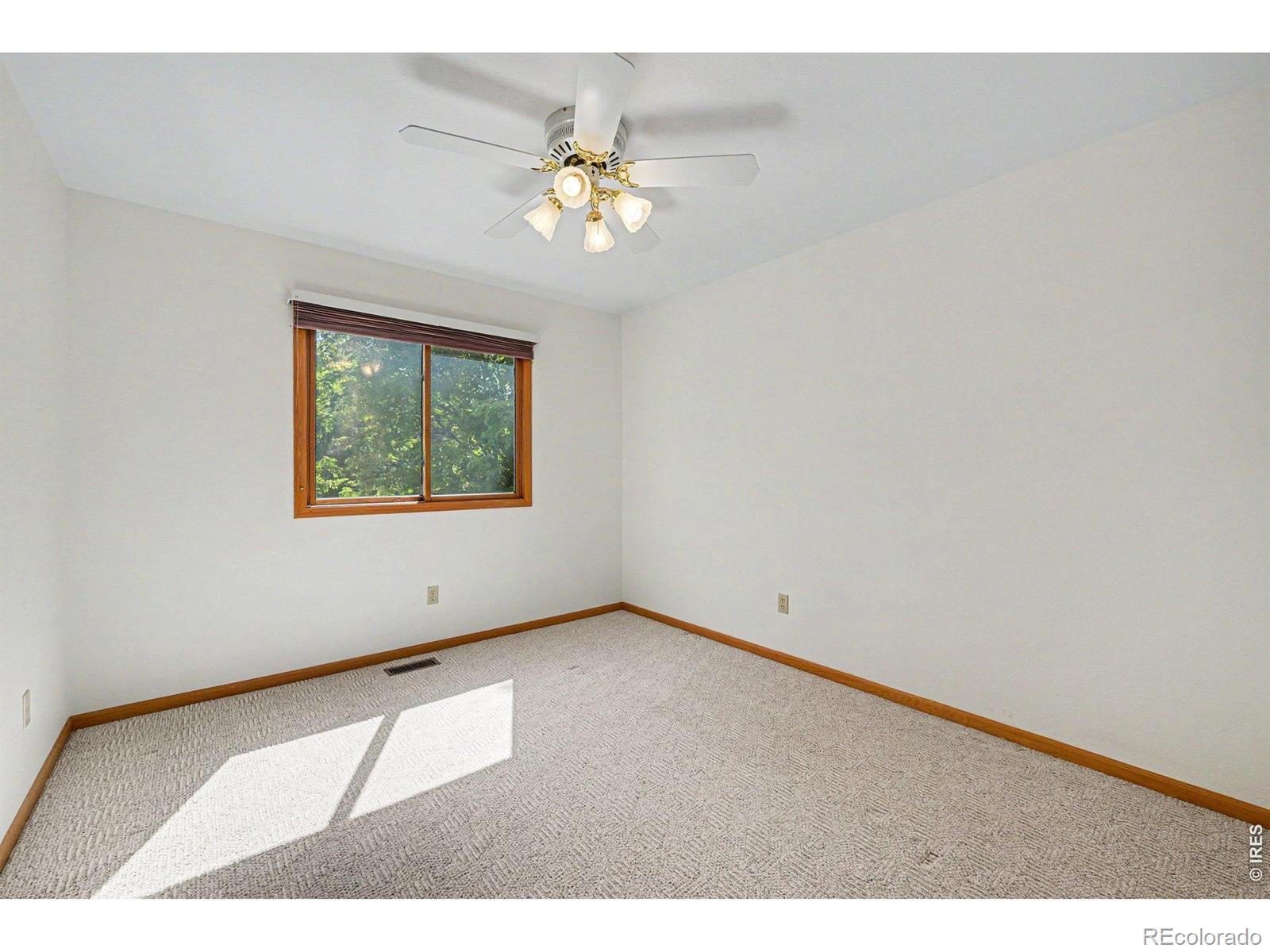 4209 Wellington Drive Fort Collins CO 80526
