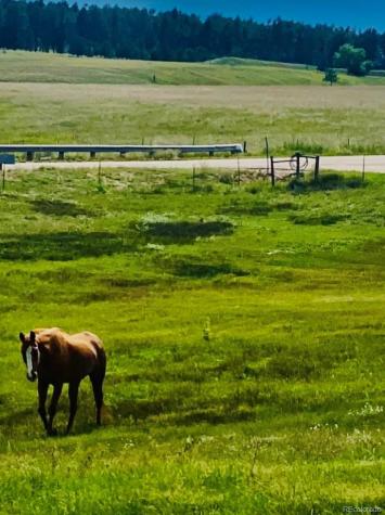 16835 E Goshawk Road Colorado Springs CO 80908