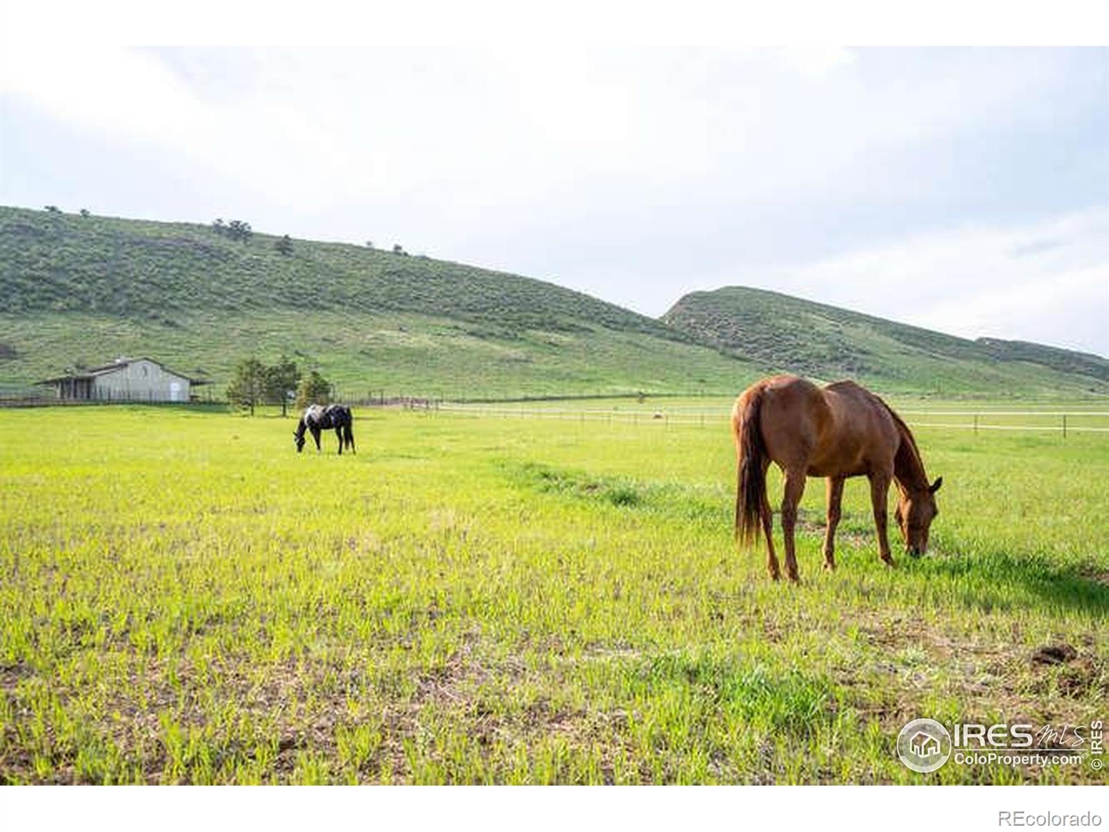 6085 Spring Glade Road Loveland CO 80538