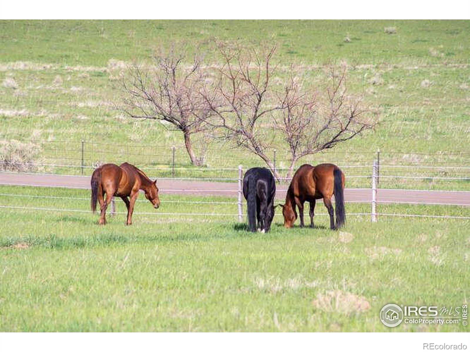 6085 Spring Glade Road Loveland CO 80538