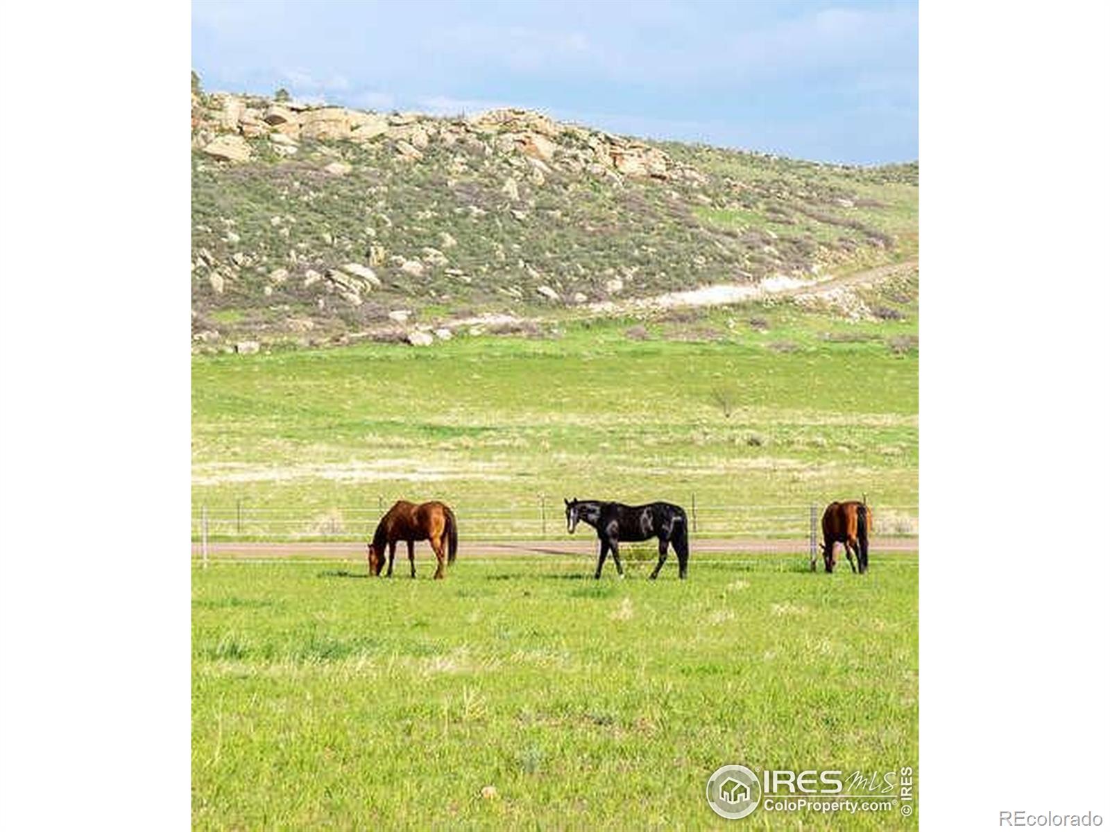 6085 Spring Glade Road Loveland CO 80538