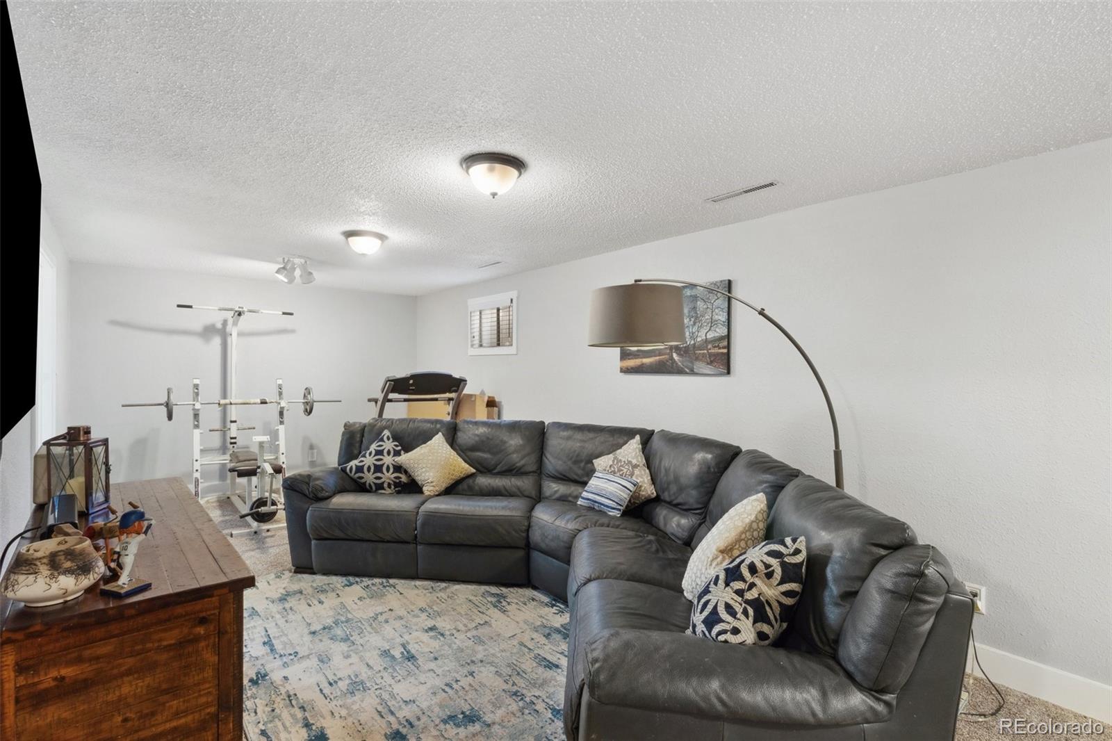 226 Bassett Drive Colorado Springs CO 80910