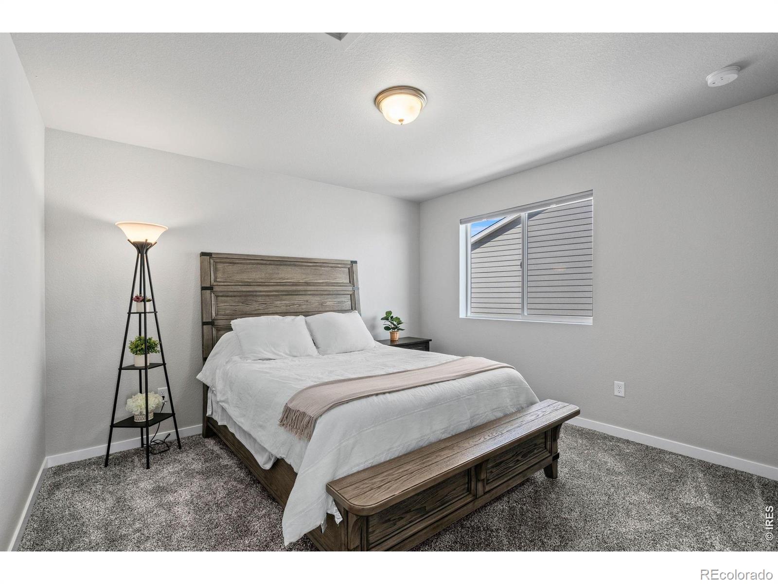 5523 Segundo Drive Loveland CO 80538