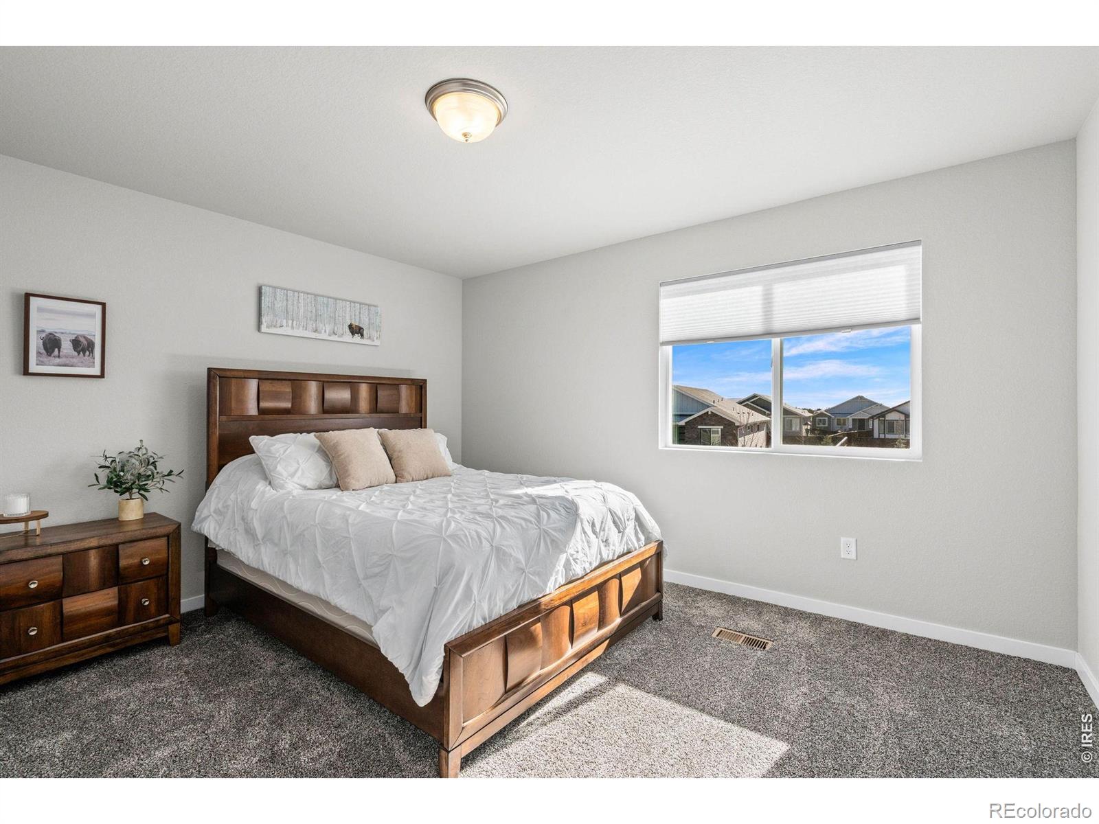 5523 Segundo Drive Loveland CO 80538