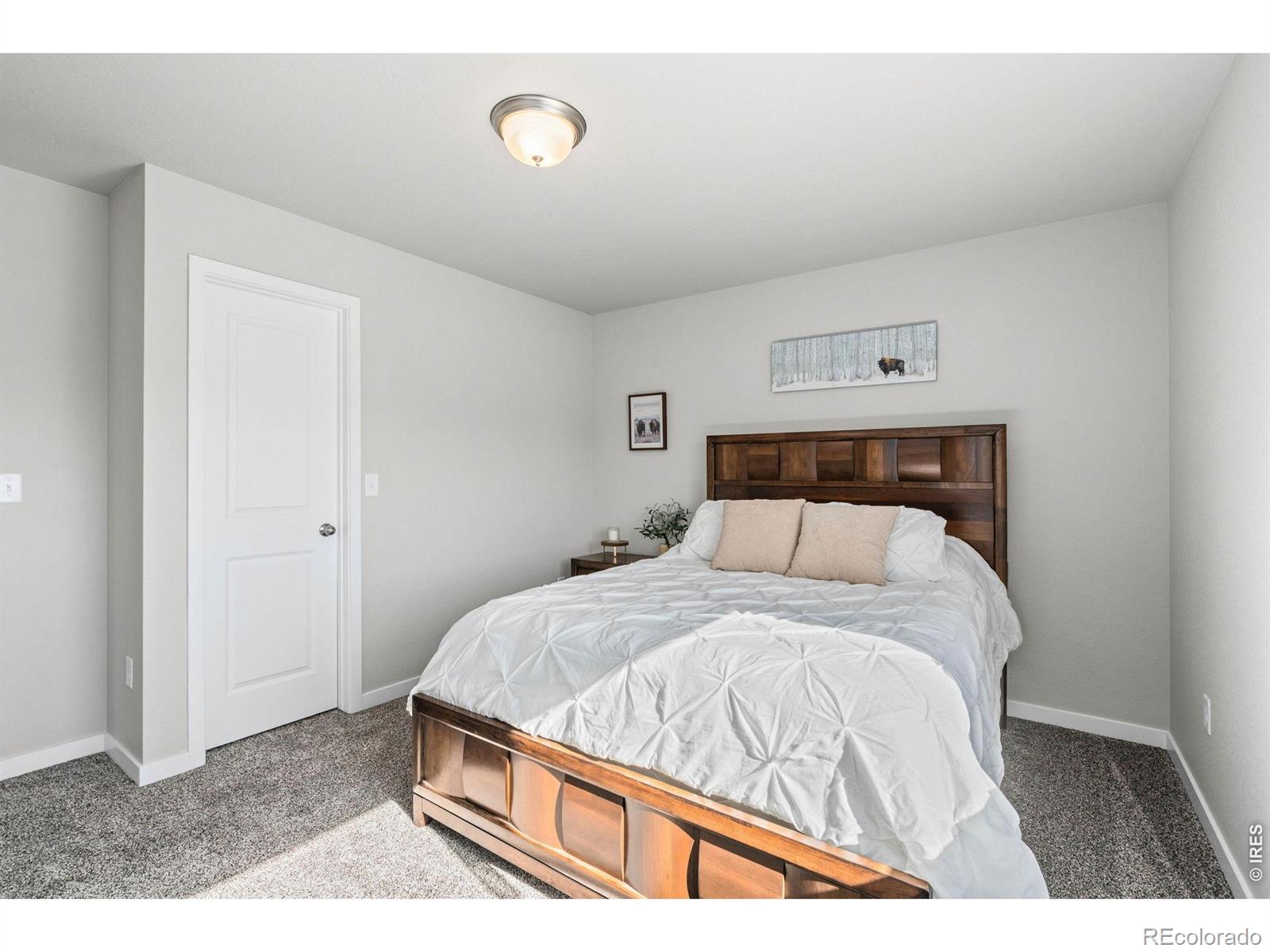 5523 Segundo Drive Loveland CO 80538