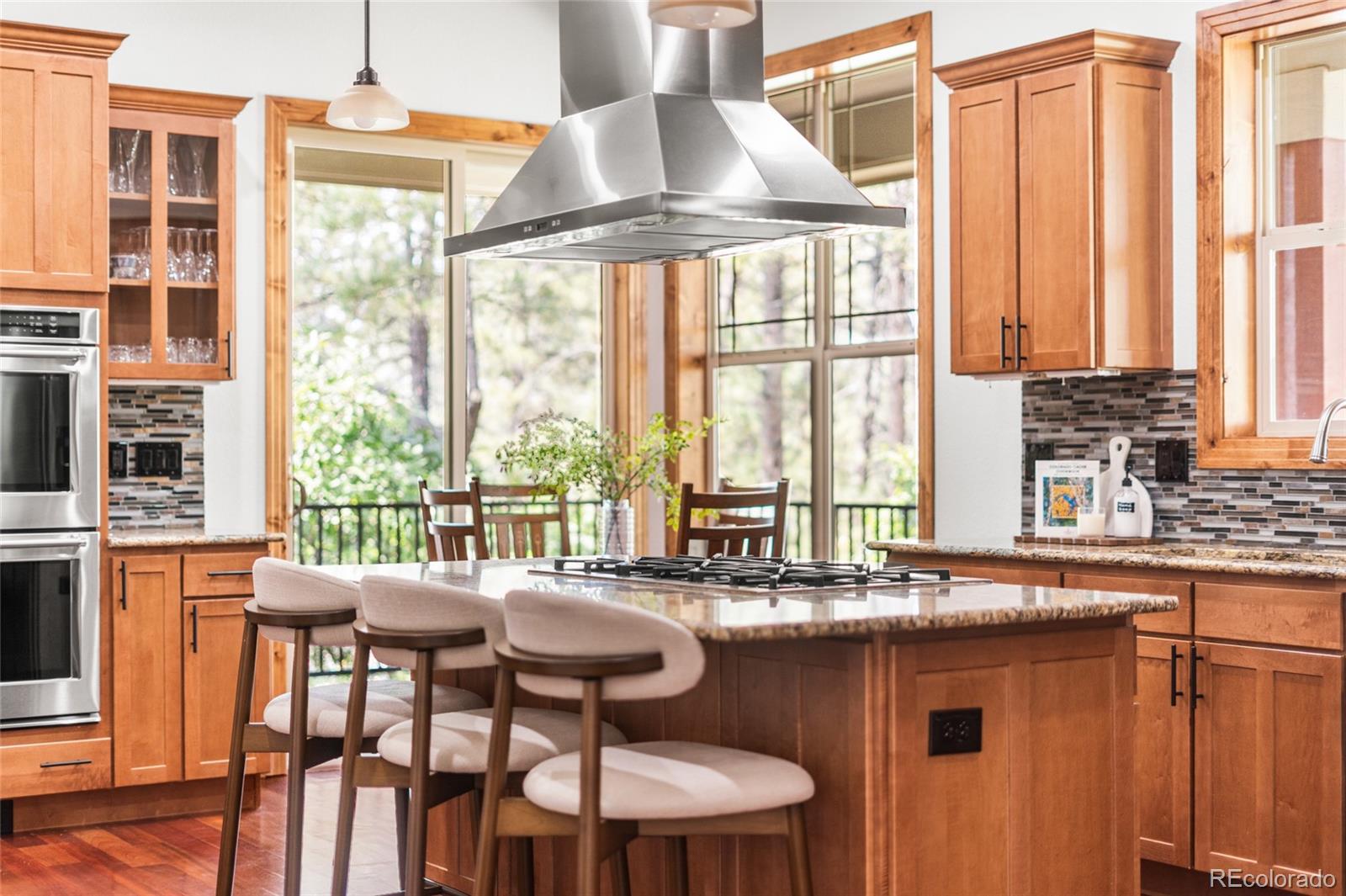 1587 Avenida Del Sol Castle Rock CO 80104