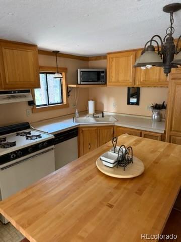 2613 Sleger Road Fort Garland CO 81133