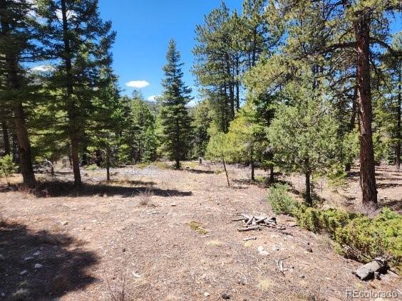 2613 Sleger Road Fort Garland CO 81133