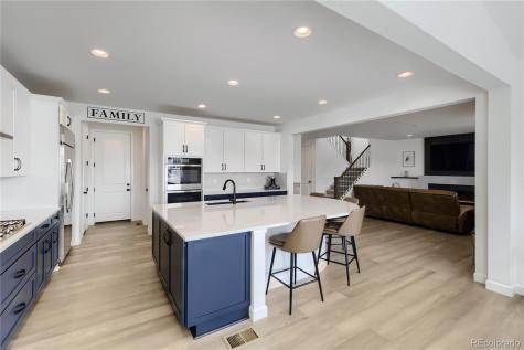 4568 Shady Path Lane Castle Rock CO 80104