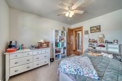 29855 County Road 357 Buena Vista CO 81211