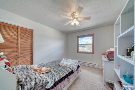 29855 County Road 357 Buena Vista CO 81211