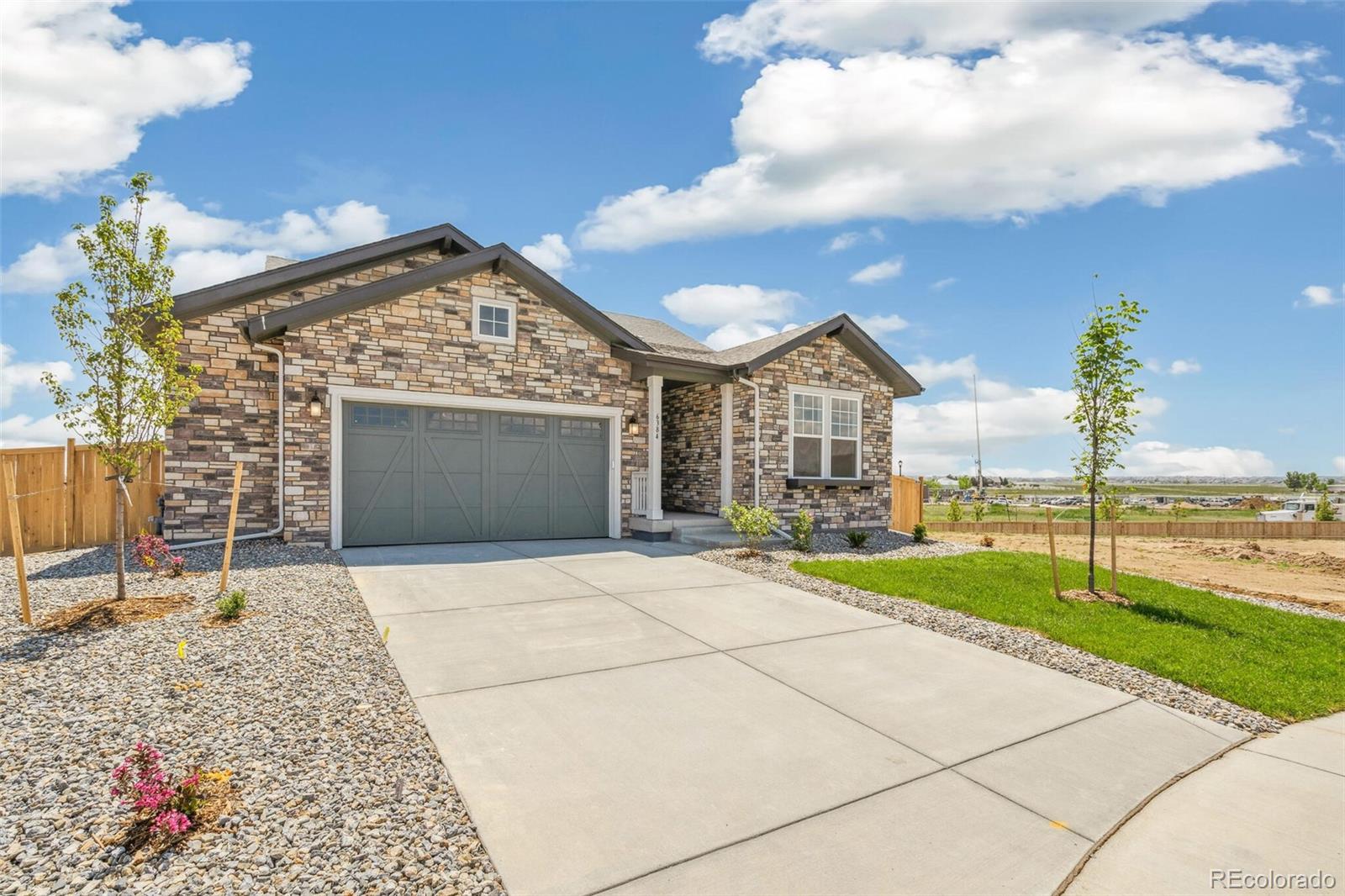 6384 E 154th Place Thornton CO 80602
