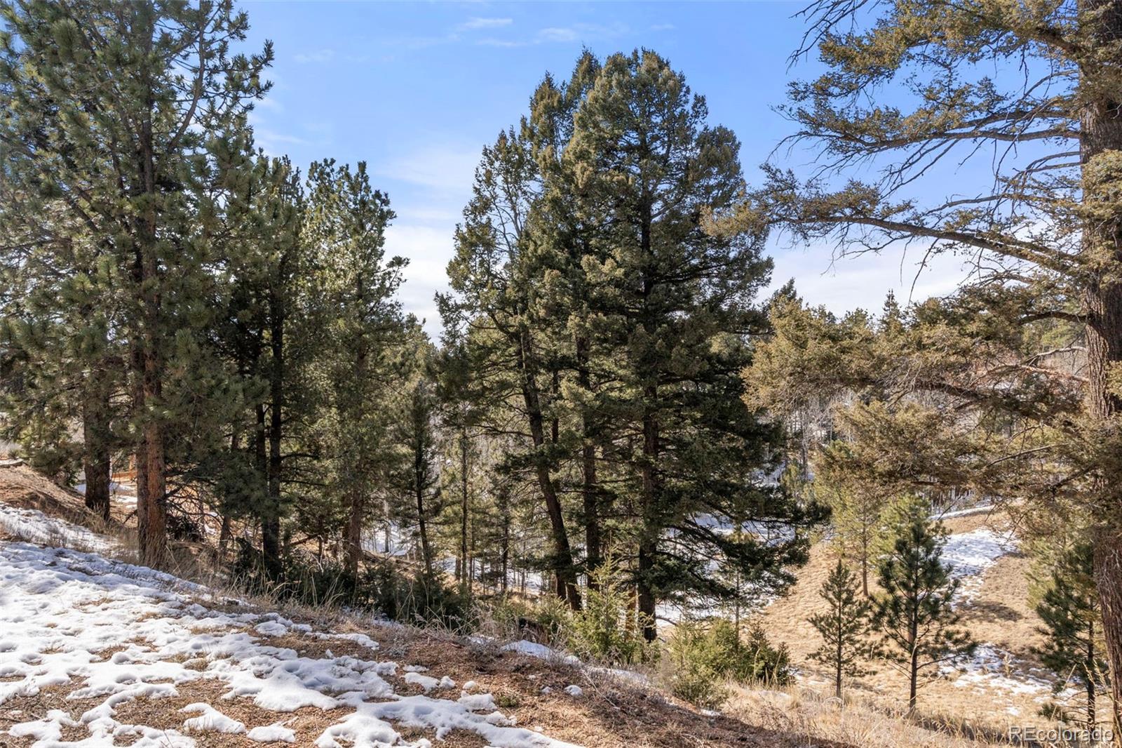171 Star View Trail Divide CO 80814