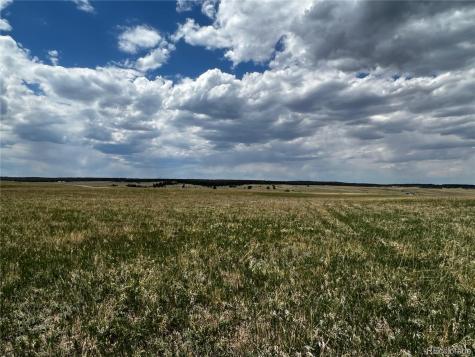 11970 Woodridge Terrace Colorado Springs CO 80908