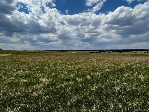 11970 Woodridge Terrace Colorado Springs CO 80908