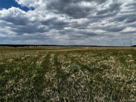 11970 Woodridge Terrace Colorado Springs CO 80908