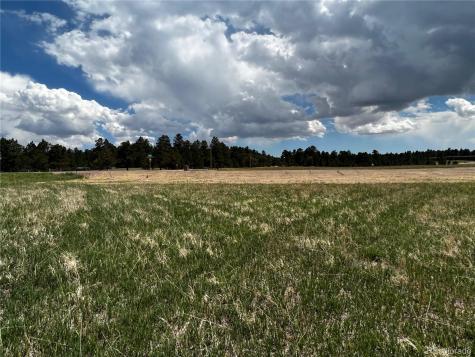 11970 Woodridge Terrace Colorado Springs CO 80908