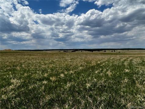 11970 Woodridge Terrace Colorado Springs CO 80908