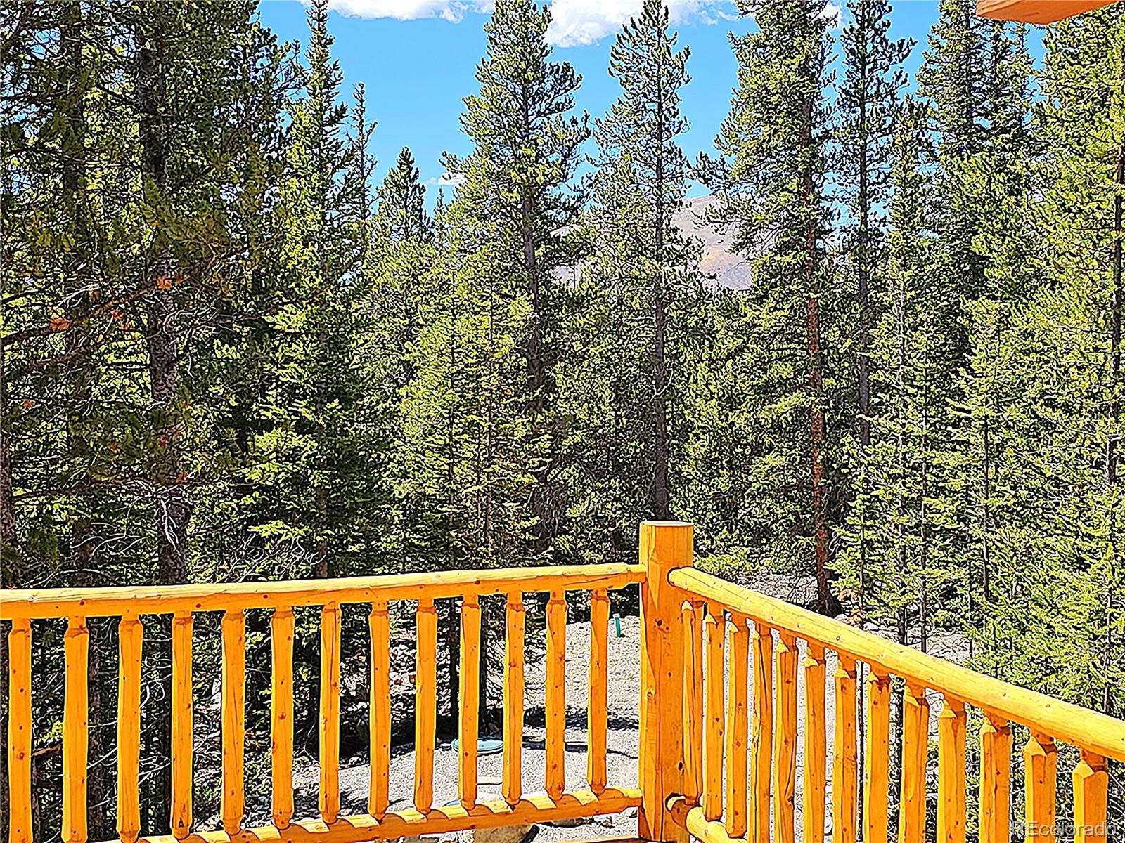 228 Gold Trail Fairplay CO 80440