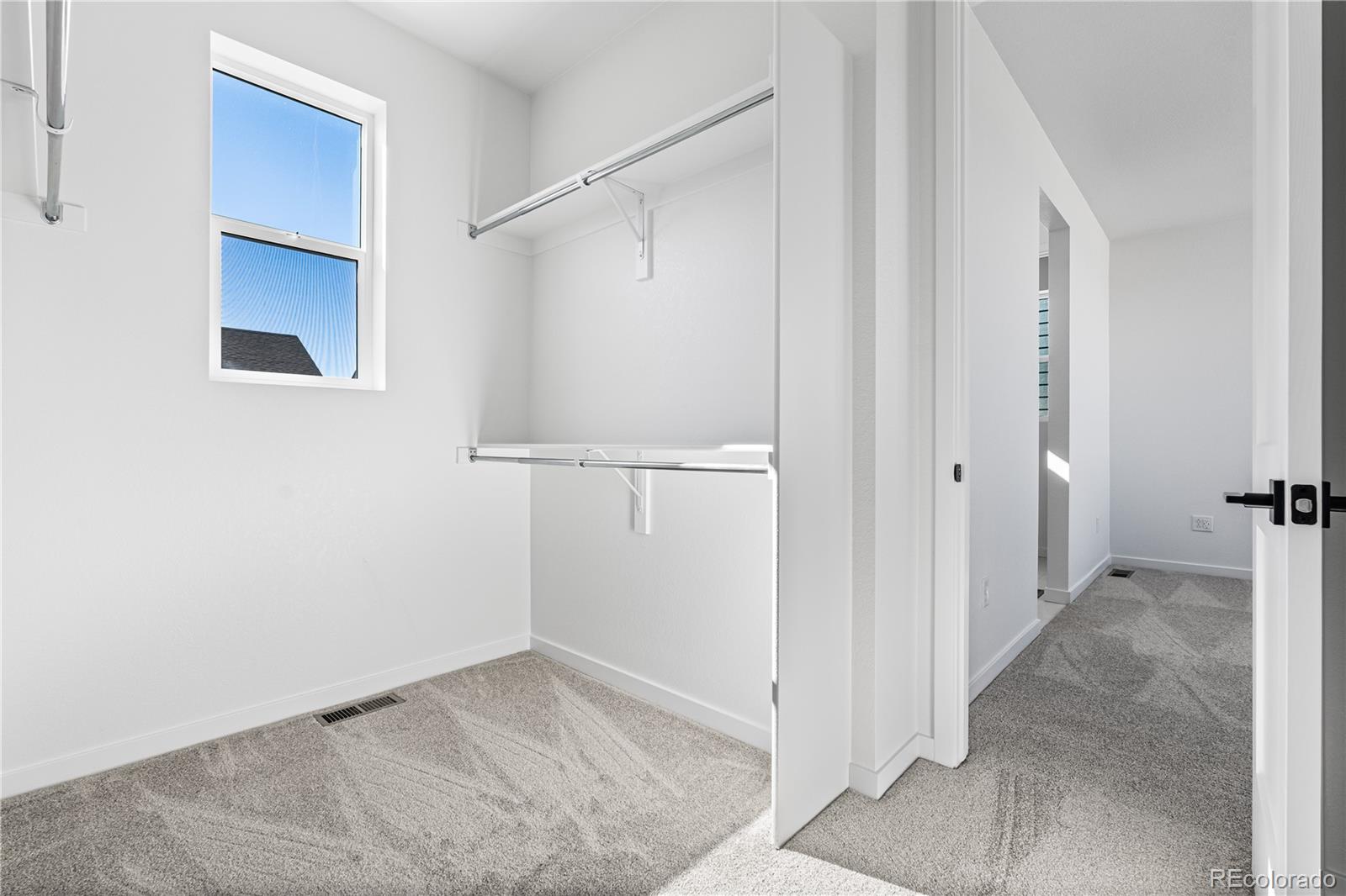 12058 Octave Avenue Lone Tree CO 80134
