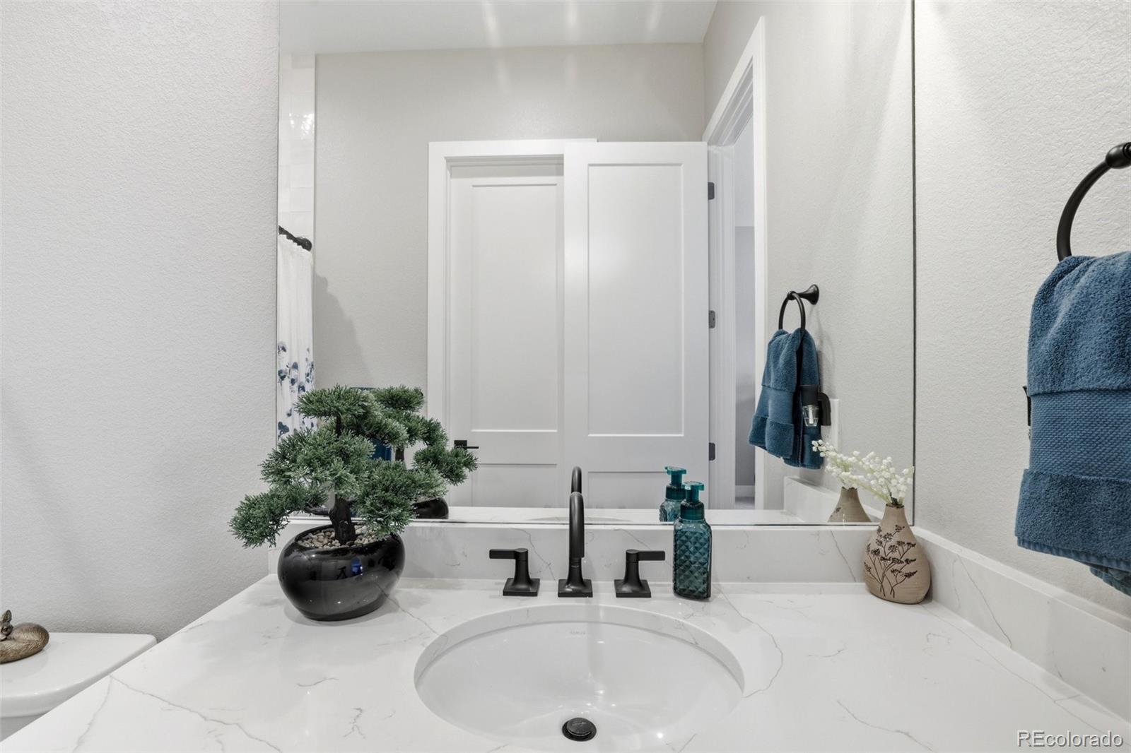 577 Scrubjay Circle Castle Rock CO 80104